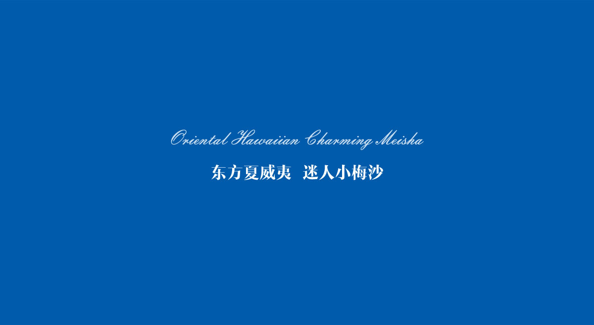 小梅沙品牌畫冊策劃設計_全力設計